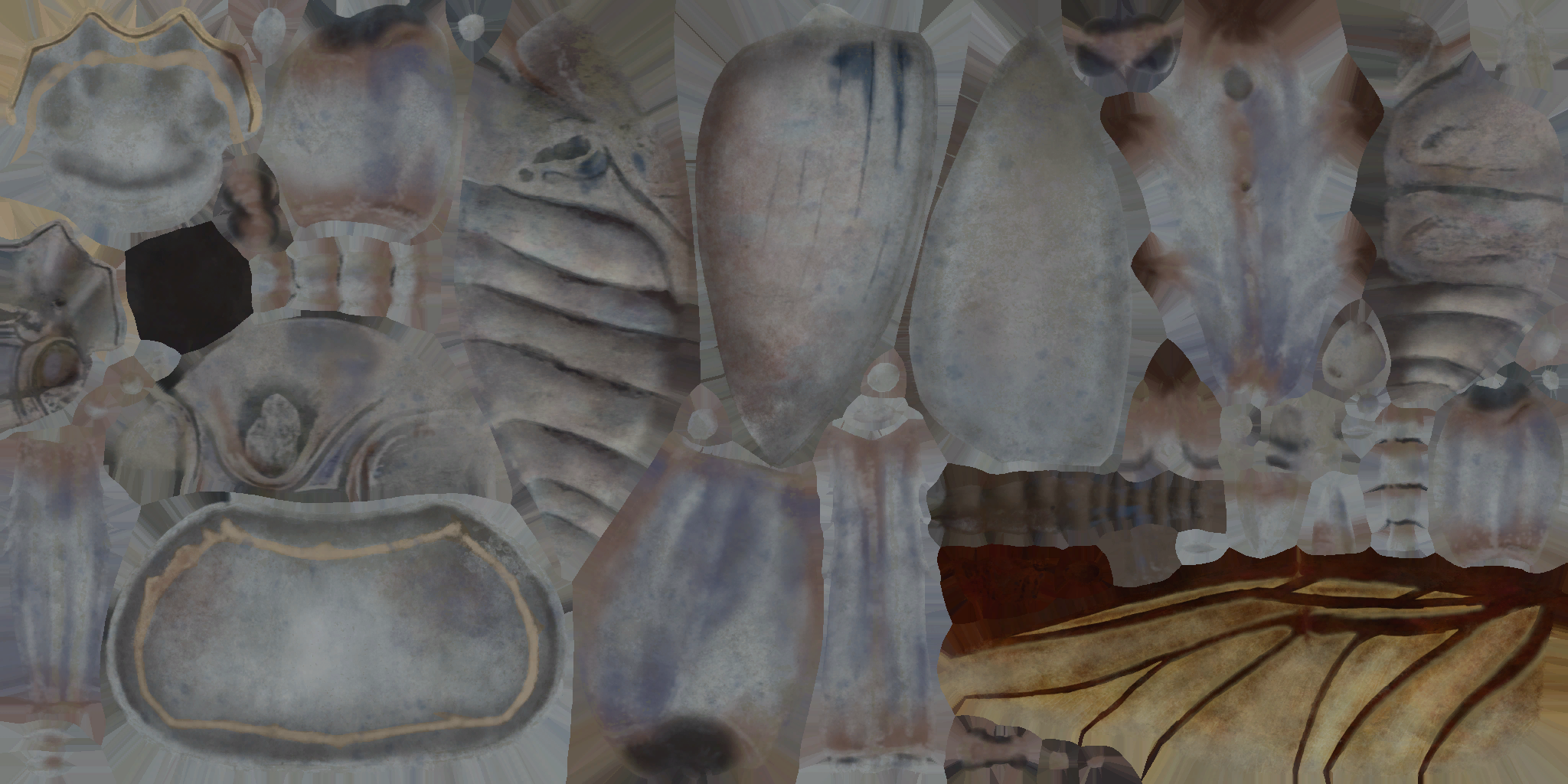 HD_M_2550_a (2).png